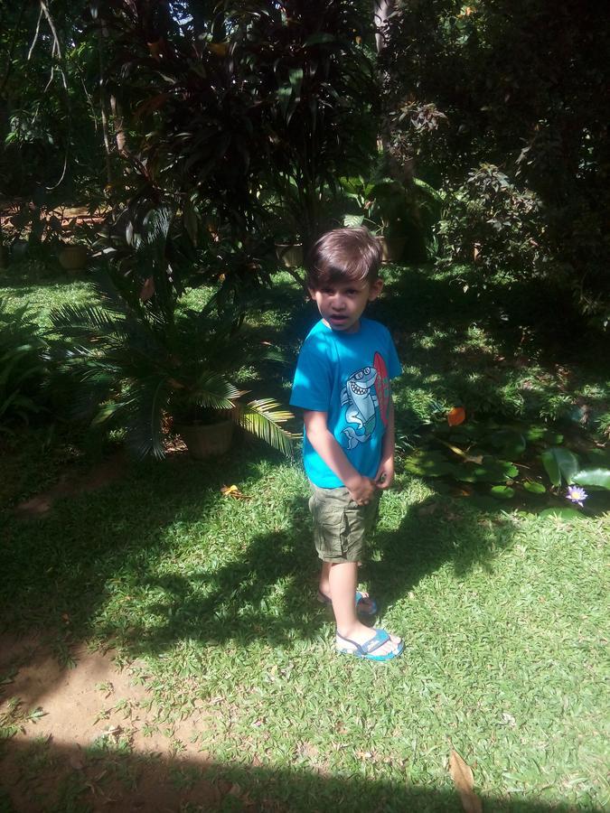 Dambulla Green Villa Esterno foto